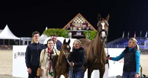 Horses & Dreams attracts foreign buyers as well as locals