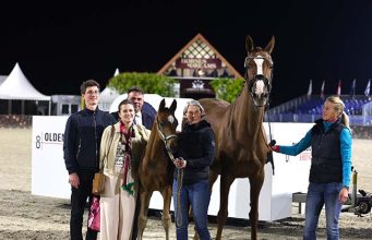 Horses & Dreams attracts foreign buyers as well as locals