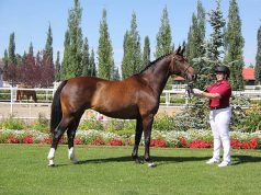 Leadership transition at CWHBA 2026 Annual General Meeting