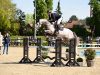 Save the date: Holsteiner Verband stallions ‘Live’ on May 1