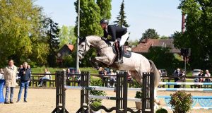 Save the date: Holsteiner Verband stallions ‘Live’ on May 1