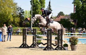 Save the date: Holsteiner Verband stallions ‘Live’ on May 1