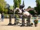 Save the date: Holsteiner Verband stallions ‘Live’ on May 1