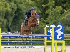 Steven Veldhuis shares his young horse training philosophies