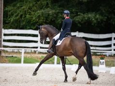 European Young Riders and U25 medals for Oldenburg horses