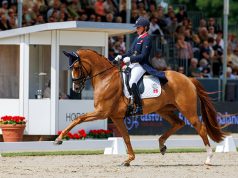 “The hindquarters are the key focus” for the dressage WBCYH