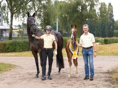 Cheers for the Hanoverian foals – the champions of tomorrow