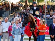 Germany’s young dressage horses selected a.o. for WBCYH