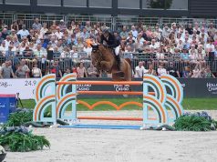 Mereusa (Comme il faut): Horse of the Month for Stal Hendrix