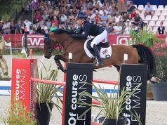 Sport ponies or small horses? The only determination is size!
