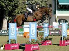 Legendary stallion Action-Breaker crosses the rainbow bridge