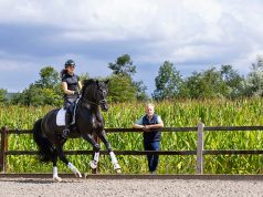 From horse dealer to stallion owner with top-level ambitions