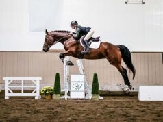 CWHBA Fall Classic Breeders’ Sale on track for success