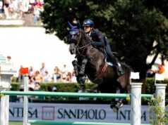 Meteoric rise of Querido van’t Ruytershof to Horse of the Month