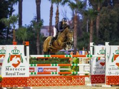 Wunderfull Vera: The mare makes all the difference