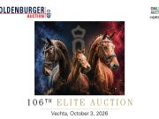 Oldenburg Stars of Tomorrow Elite Auction