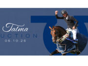 FENCES: Seven days before the ‘Talma’ Auction