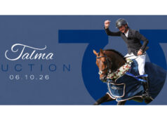 FENCES: Seven days before the ‘Talma’ Auction