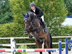 Total Unique tops the 106th Autumn Elite Auction at €250,000