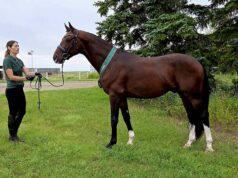 Canadian Warmblood National Inspection Tour 2026