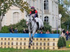 Le Lion d’Angers: The favourites hold their nerve