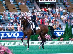Cor de la Bryère’s sons: A French horse who became a German sire