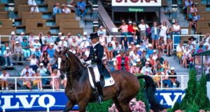 Cor de la Bryère’s sons: A French horse who became a German sire
