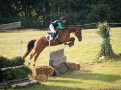 Hyperion Stud strengthens its commitment to young SWB horses