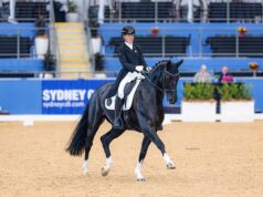 Breeding celebration: NZWA Horses of Distinction awards