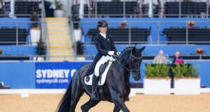 Breeding celebration: NZWA Horses of Distinction awards