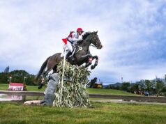 Two great sales: Find your next 5* horse in Ireland this November