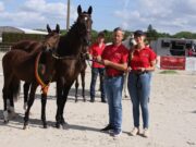 High quality during BWP elite foals’ national championship