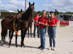 High quality during BWP elite foals’ national championship