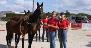 High quality during BWP elite foals’ national championship