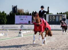 Trophies and medals awarded to 2026 Polish dressage champions