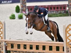 A-Lister/ex Newmarket VM: Horse of the Month for Stal Hendrix