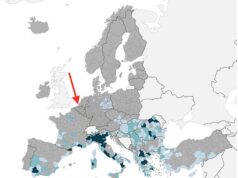 West Nile Virus in horses: Belgium sees cases – a warning!